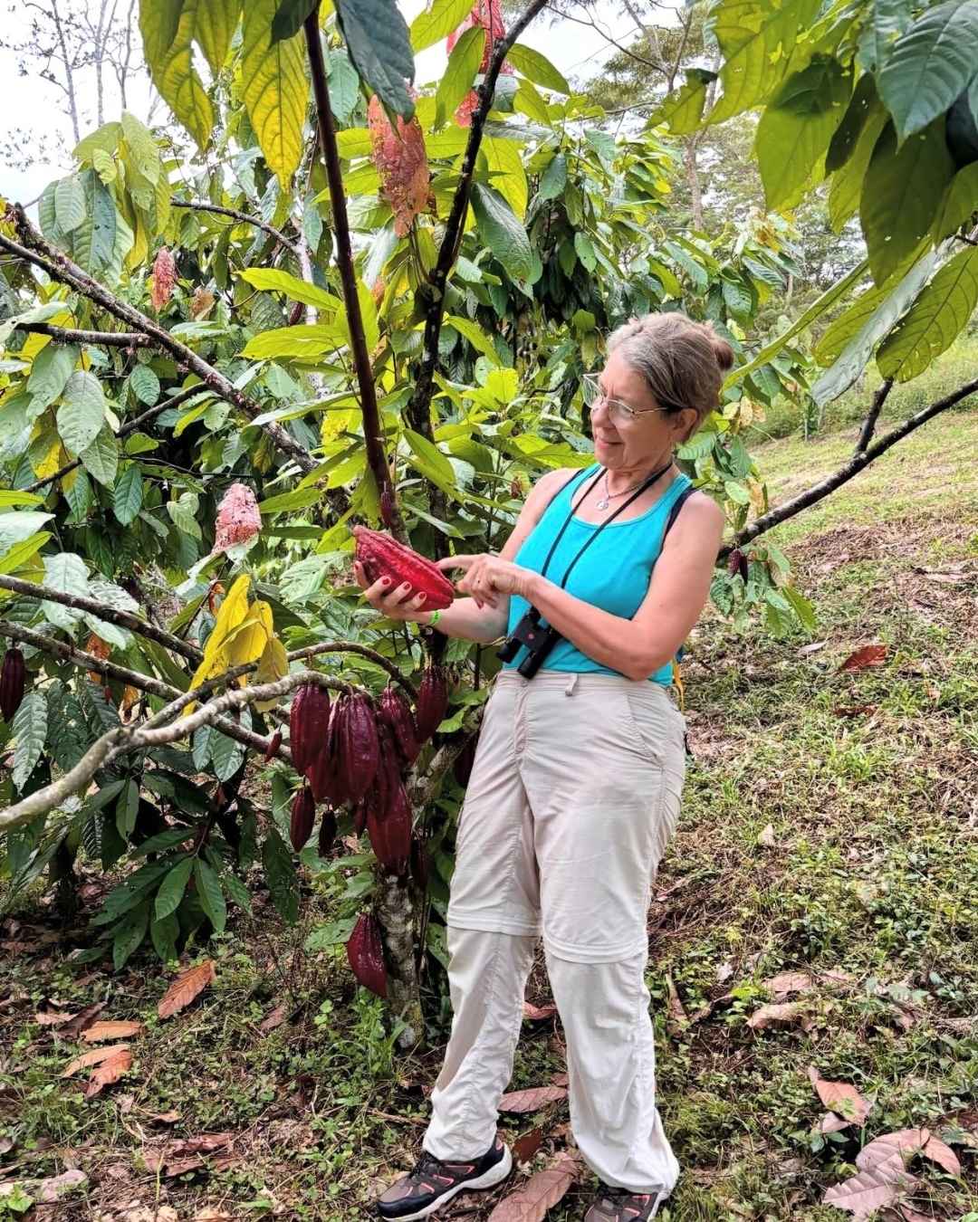 Encantos del Güejar + Experiencia del Cacao - 2D / 2N - Imagen 4