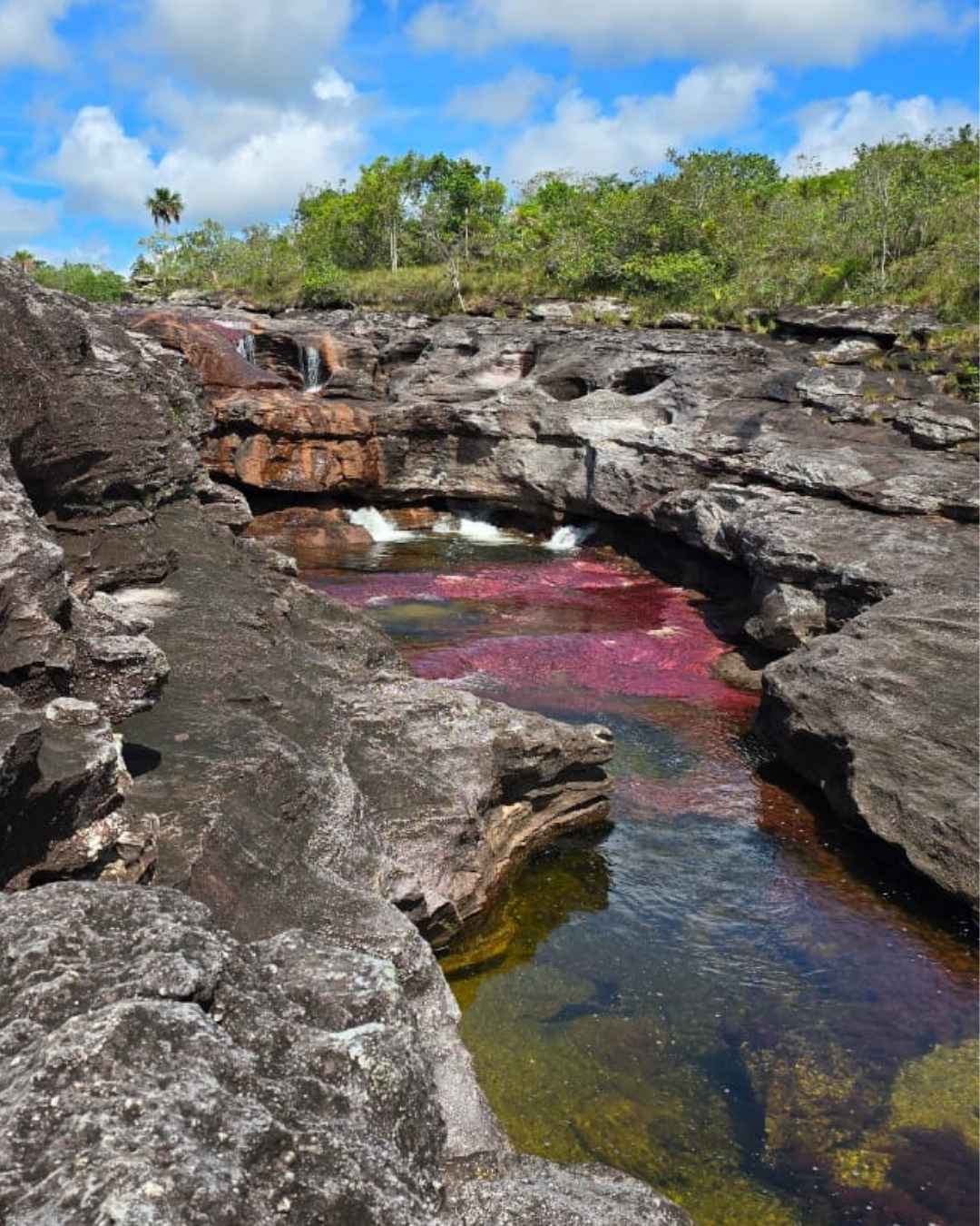 Fin de Semana en Caño Cristales – 3D / 2N Terrestre - Imagen 2