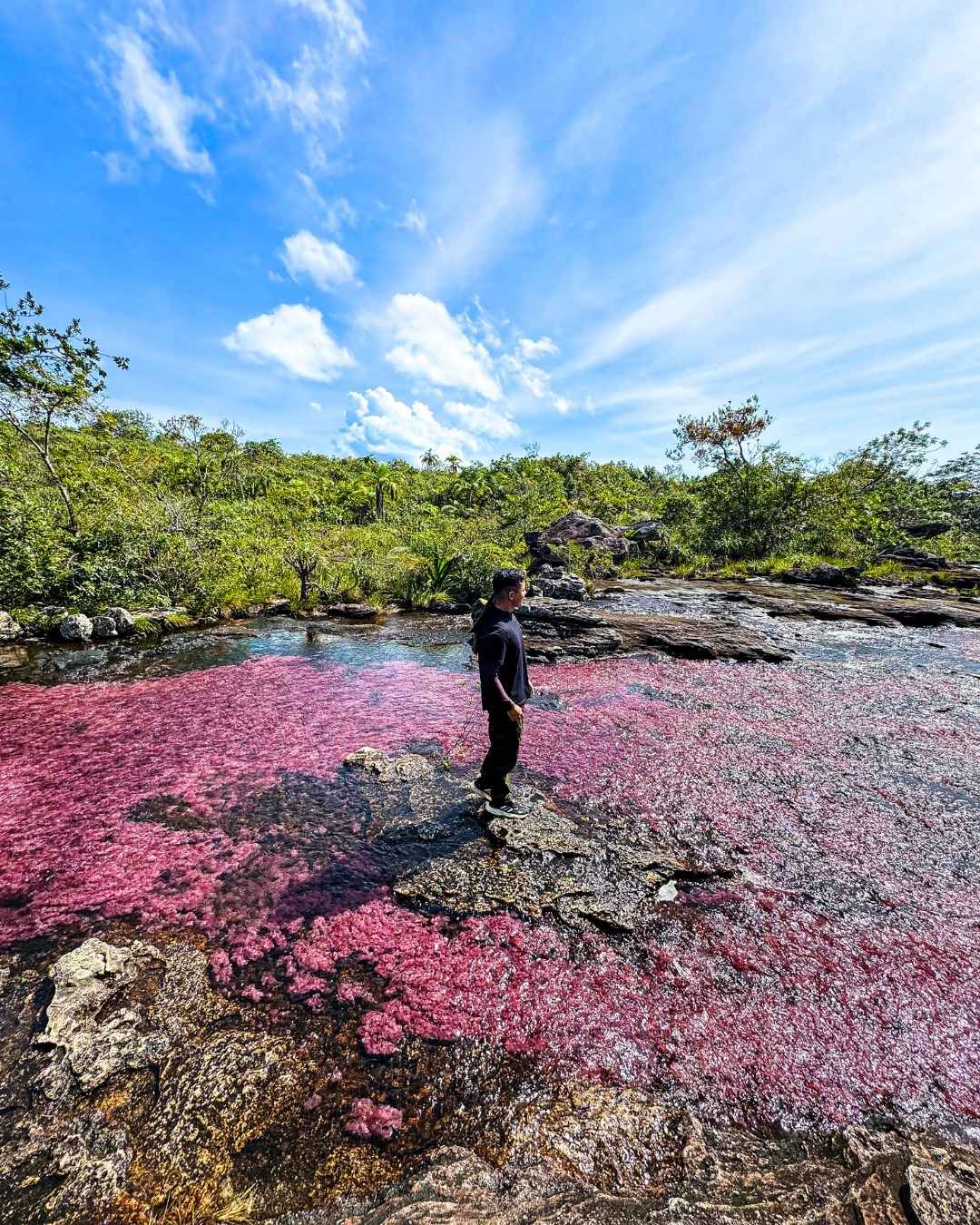 Caño Cristales – 3D / 2N En avión - Imagen 2