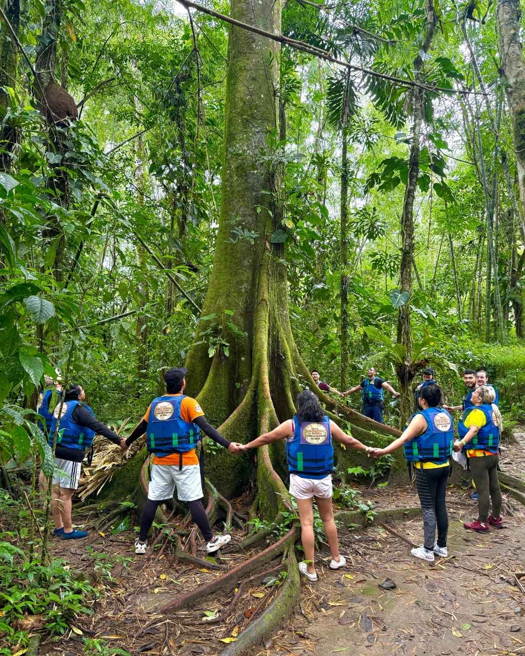 Desde Bogotá – Aventura Río Güejar 2D / 1N - Imagen 6